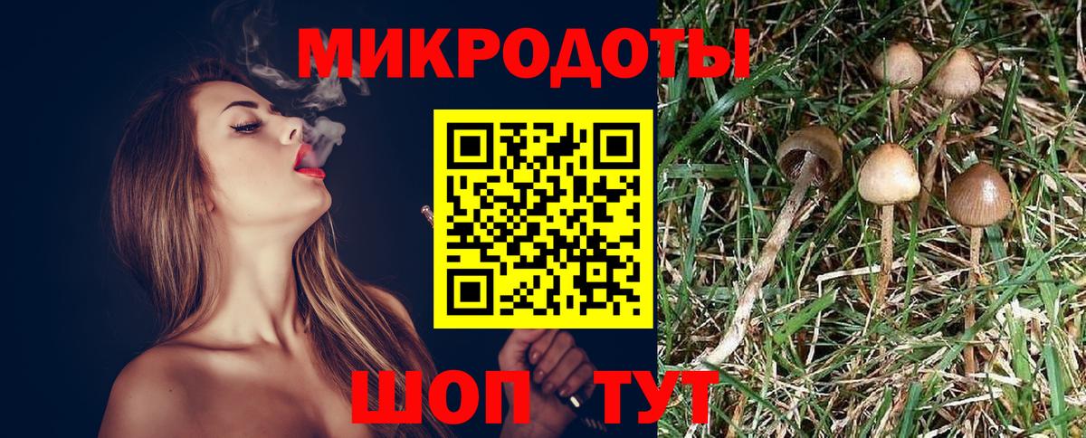 Воткинск  Псилоцибиновые грибы MAGIC MUSHROOMS  Вход с VPN 